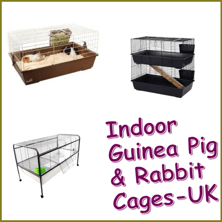 Indoor Guinea Pig Cages UK